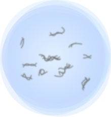 希瑪眼科中心_飛蚊症