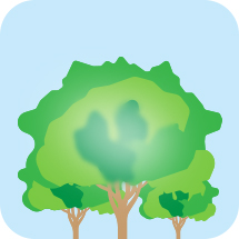 希瑪眼科中心_黃斑病變症狀