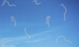 希瑪眼科中心_視網膜脫落症狀_飛蚊