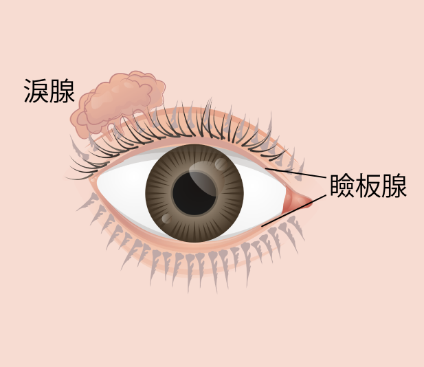 希玛眼科中心_乾眼症